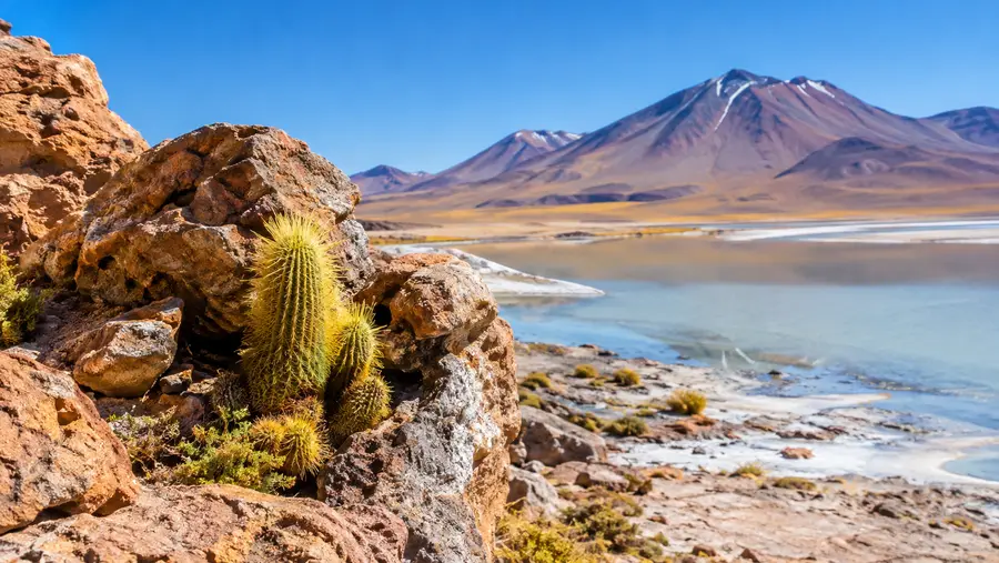 Las mejores actividades y atracciones en el Desierto de Atacama